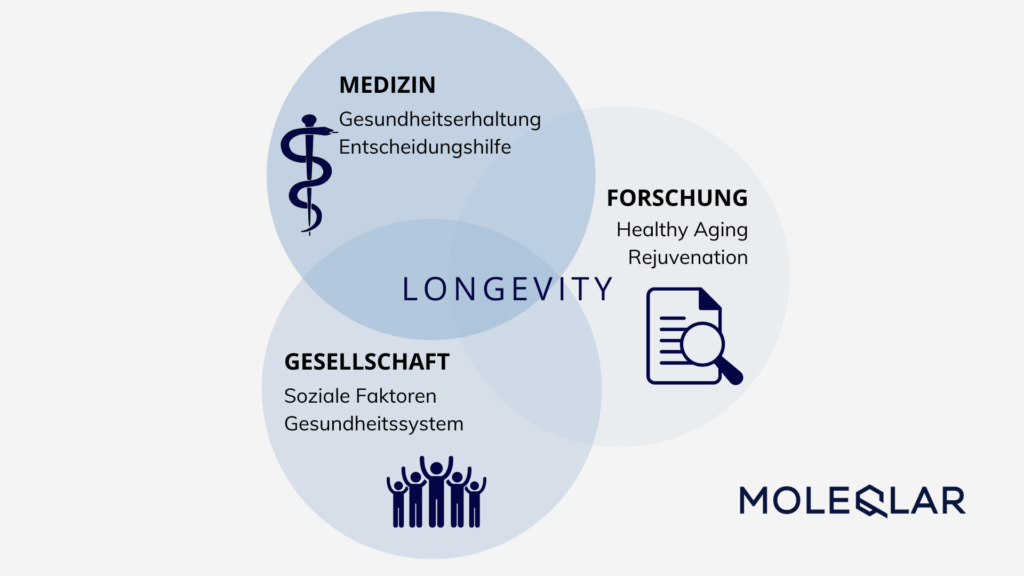 Grafik: Dreiklang Logevity