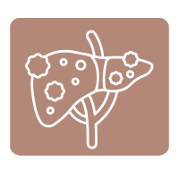 Icon Lebererkrankungen