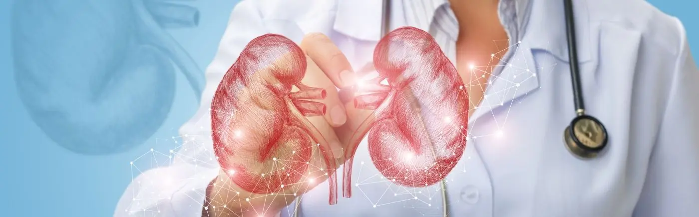Nephrologie - Prof. Stoffel in München