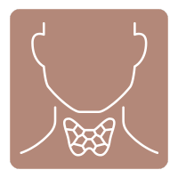 Icon Schilddrüse